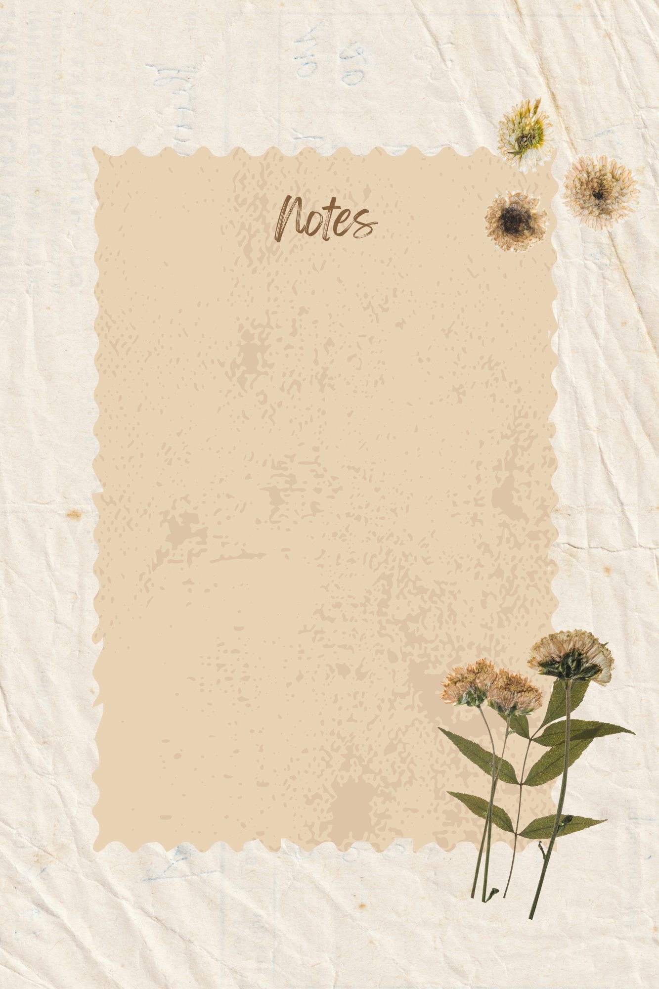 Find My Sunshine - Gratitude Journal